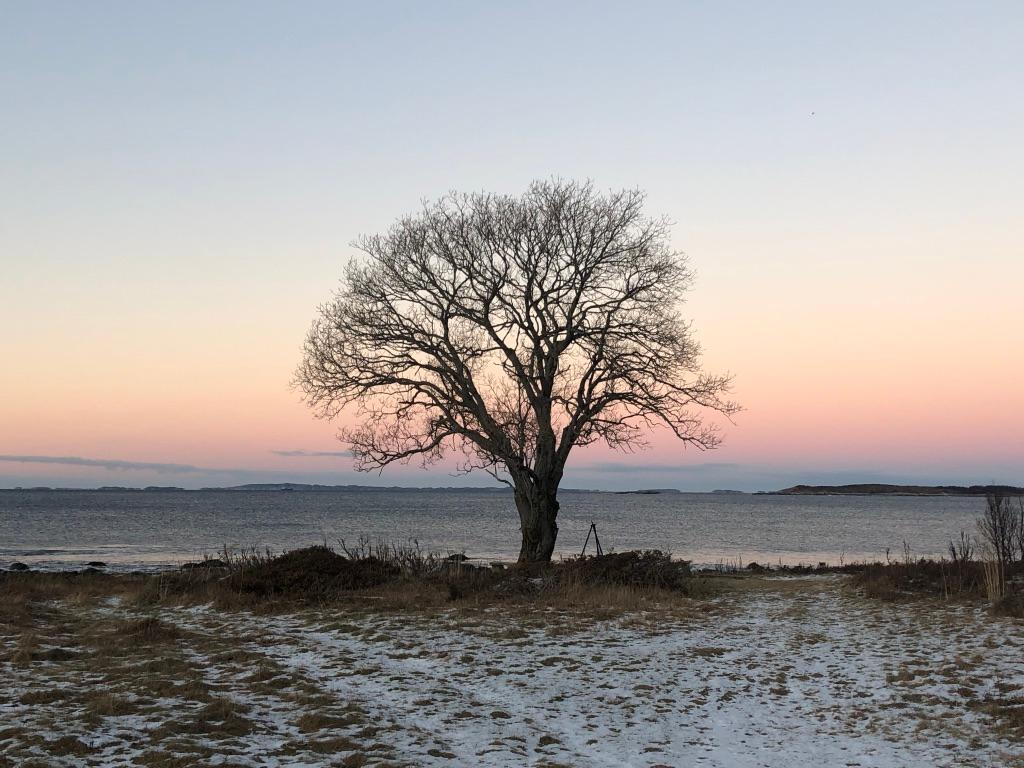 Følvika Northern Retreat